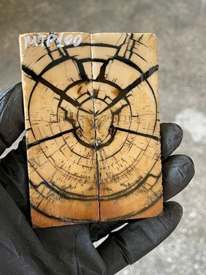 stabilized mammoth tusk knife scales pocket knife pair fossil material MTP100