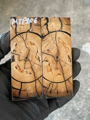 stabilized mammoth tusk knife scales pocket knife pair fossil material MTP106