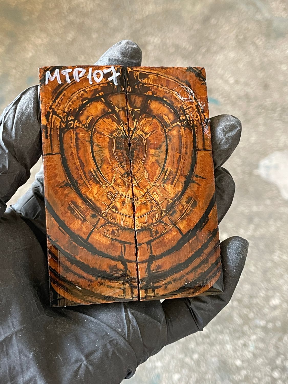 stabilized mammoth tusk knife scales pocket knife pair fossil material MTP107