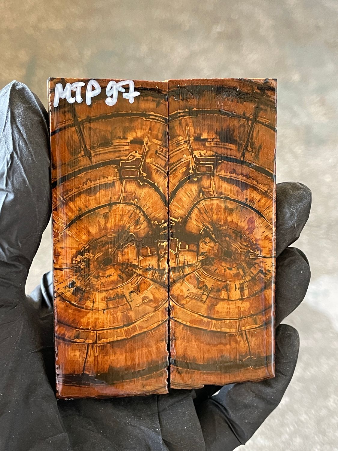 stabilized mammoth tusk knife scales pocket knife pair fossil material MTP97