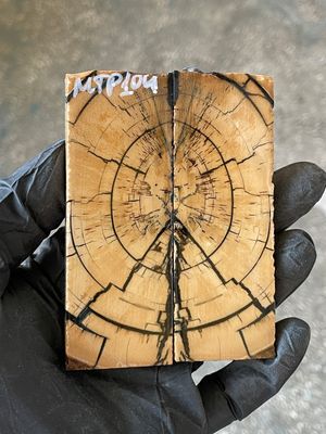 stabilized mammoth tusk knife scales pocket knife pair fossil material MTP104