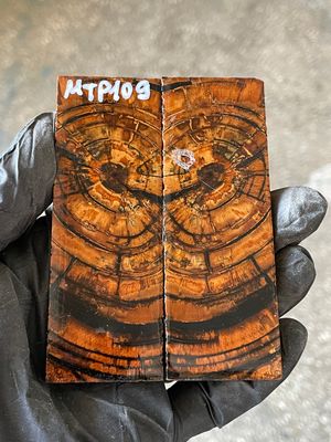 stabilized mammoth tusk knife scales pocket knife pair fossil material MTP109