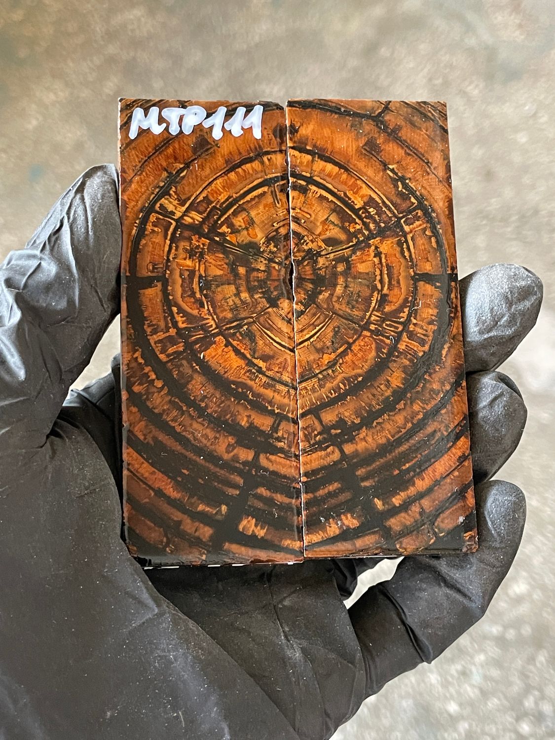 stabilized mammoth tusk knife scales pocket knife pair fossil material MTP111