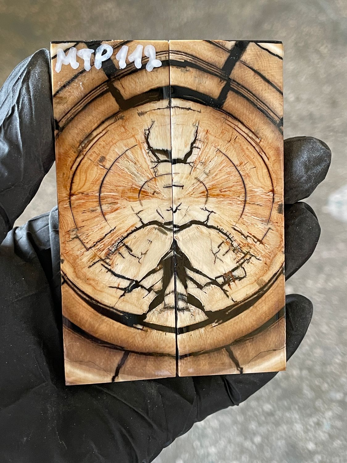 stabilized mammoth tusk knife scales pocket knife pair fossil material MTP112