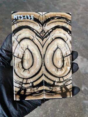 stabilized mammoth tusk knife scales pair fossil handle material MTS135