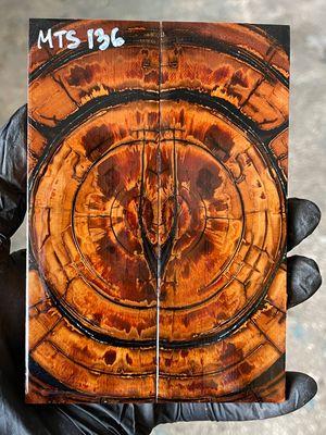 stabilized mammoth tusk knife scales pair fossil handle material MTS136