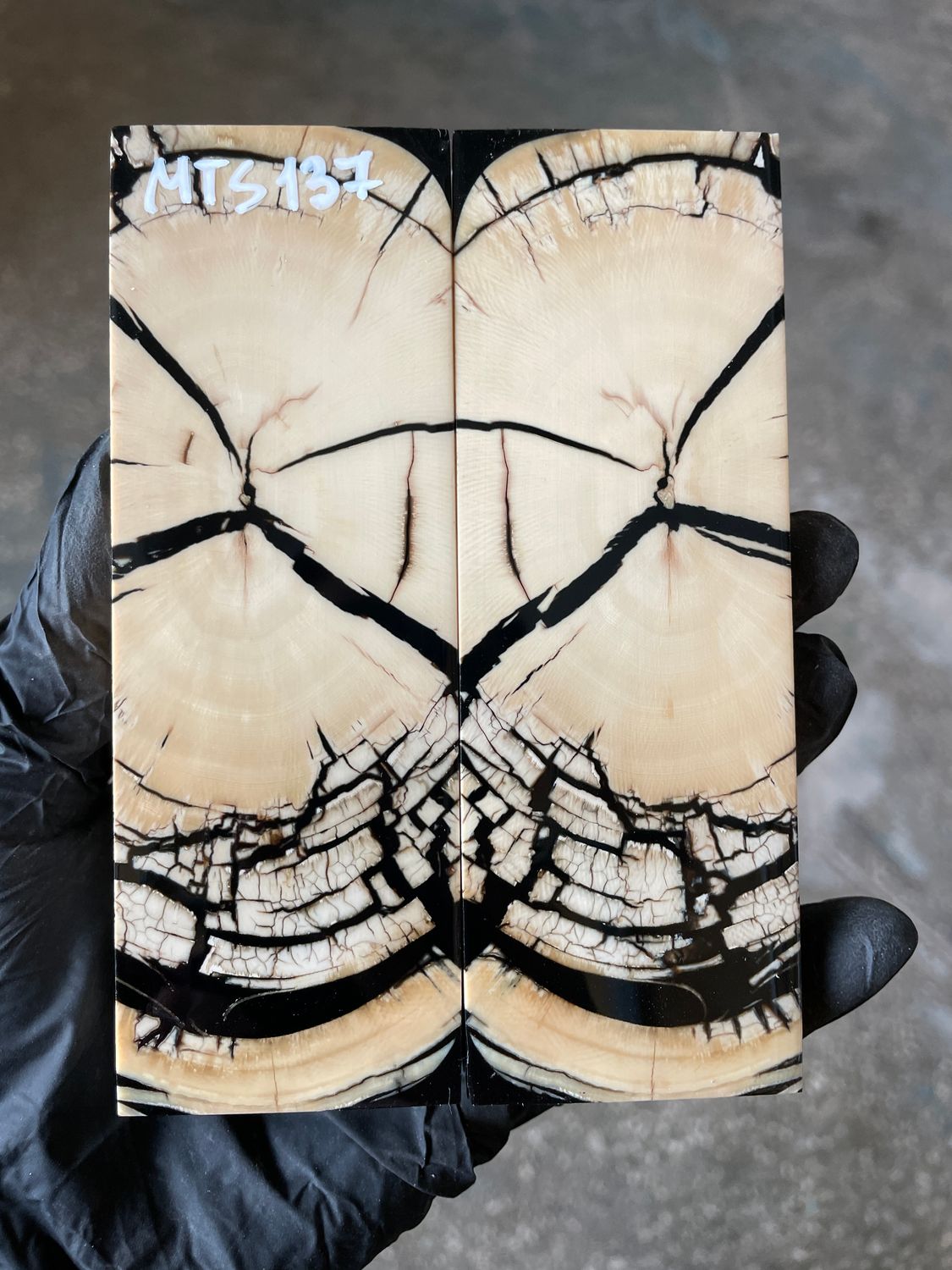 stabilized mammoth tusk knife scales pair fossil handle material MTS137