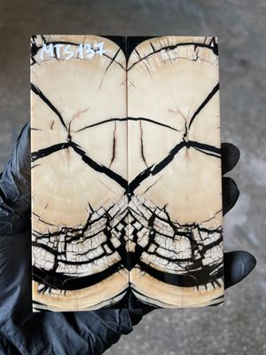 stabilized mammoth tusk knife scales pair fossil handle material MTS137