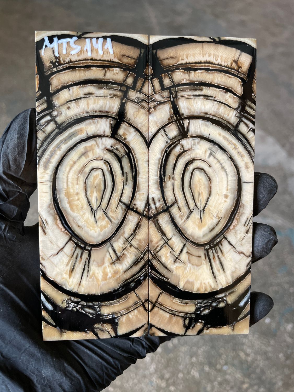 stabilized mammoth tusk knife scales pair fossil handle material MTS141