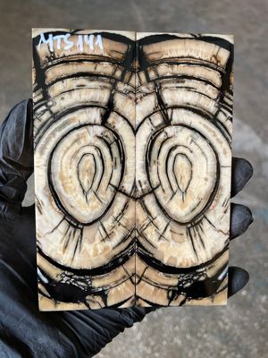 stabilized mammoth tusk knife scales pair fossil handle material MTS141