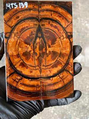 stabilized mammoth tusk knife scales pair fossil handle material MTS139