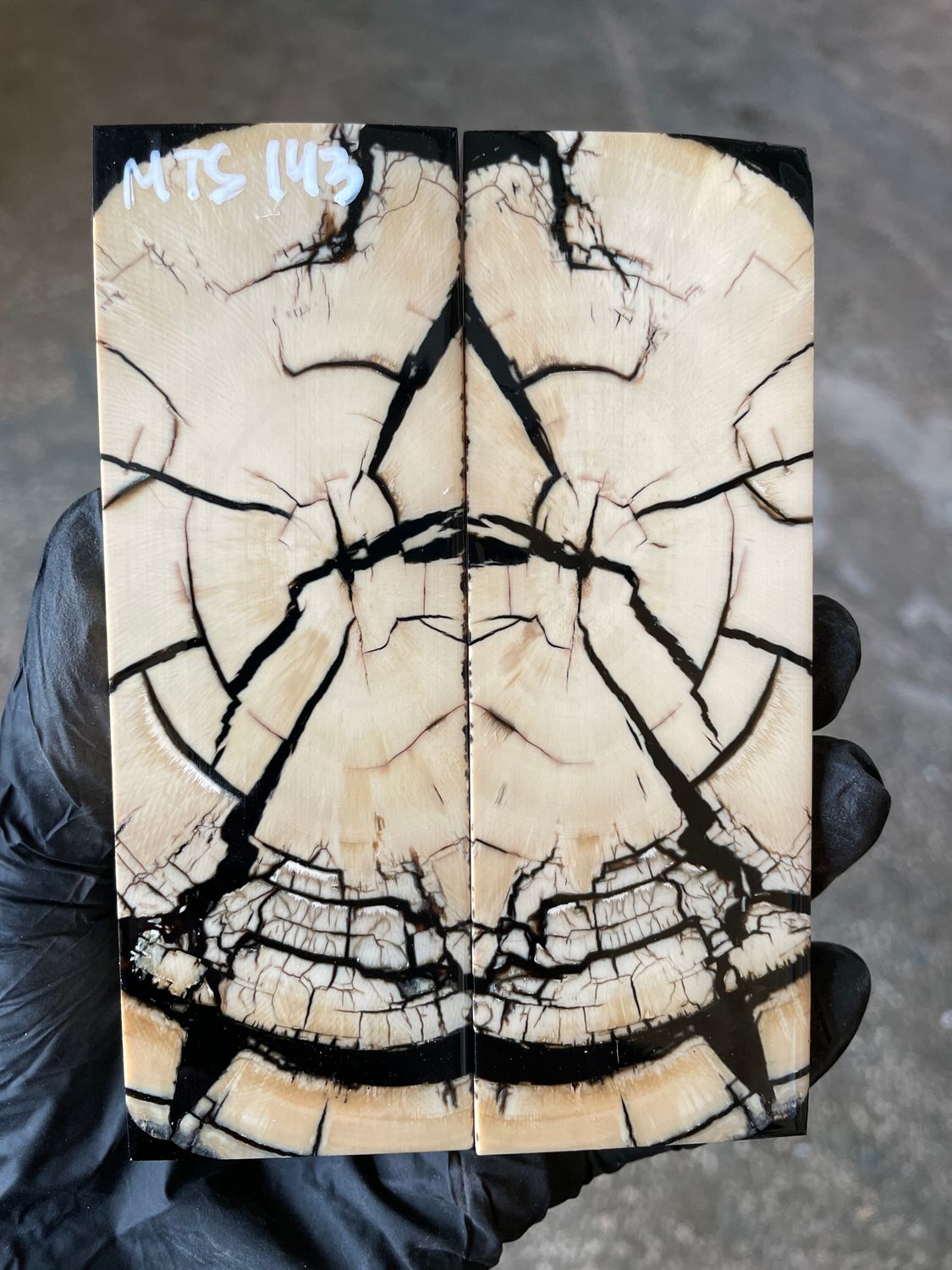 stabilized mammoth tusk knife scales pair fossil handle material MTS143