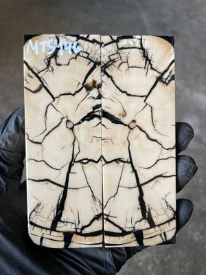 stabilized mammoth tusk knife scales pair fossil handle material MTS146