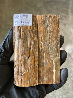 Mammoth Bark Tusk Knife Scales Fossil Pair 3.62×1.25×0.43 inch​​ MBT149