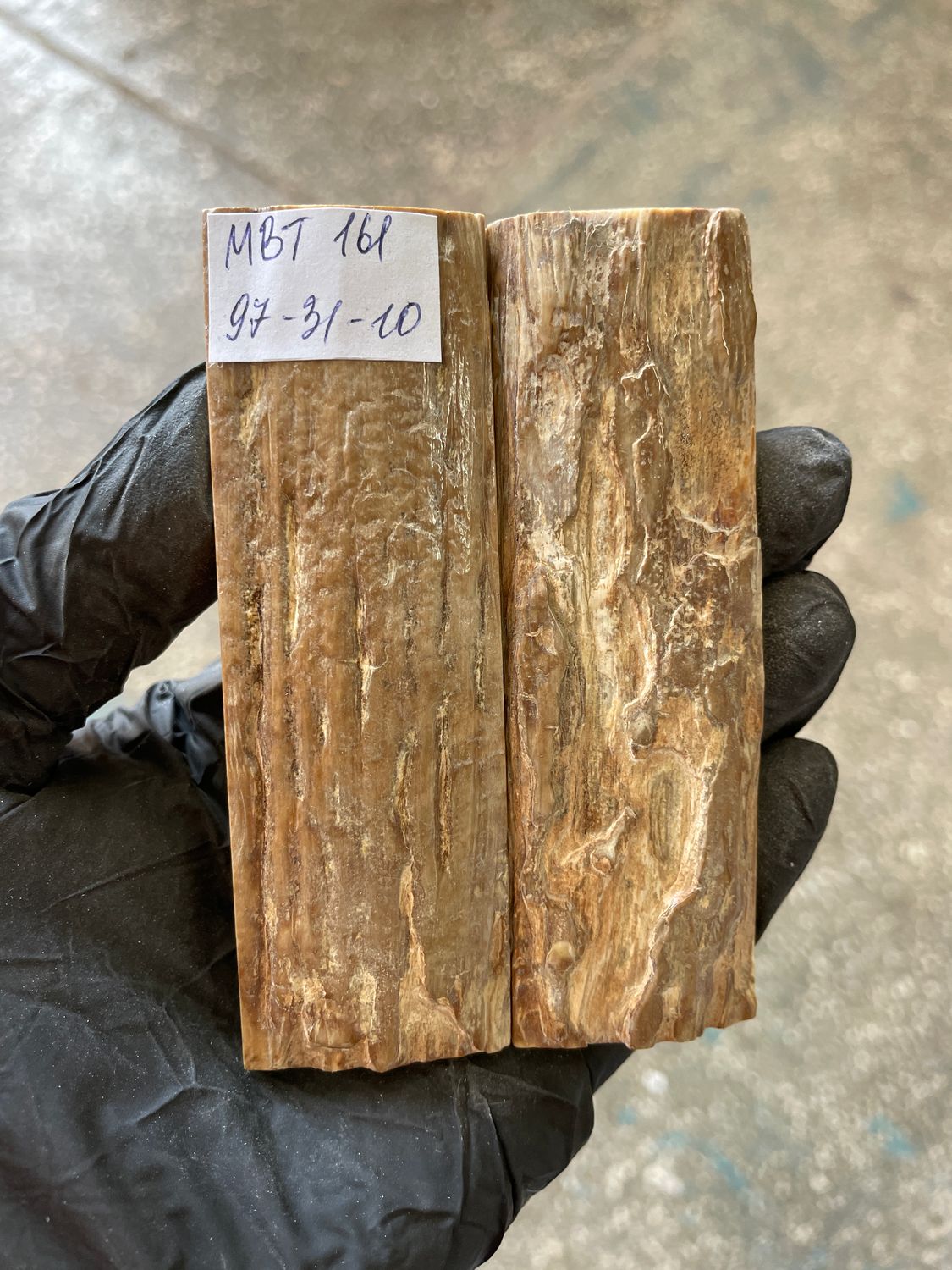 Mammoth Bark Tusk Knife Scales Fossil Pair 3.81×1.22×0.39 inch​​ MBT161