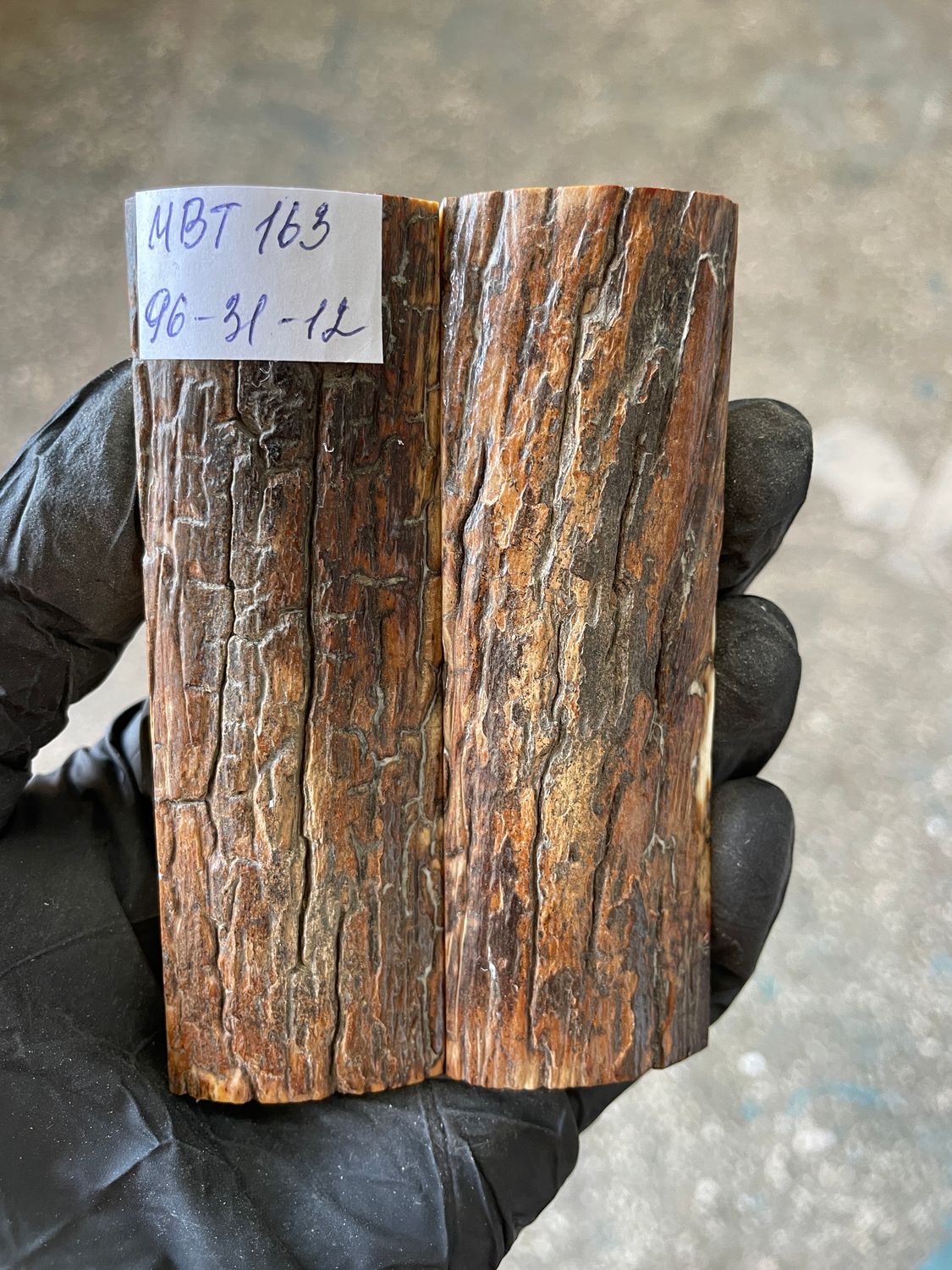 Mammoth Bark Tusk Knife Scales Fossil Pair 3.77×1.22×0.47 inch​​ MBT163