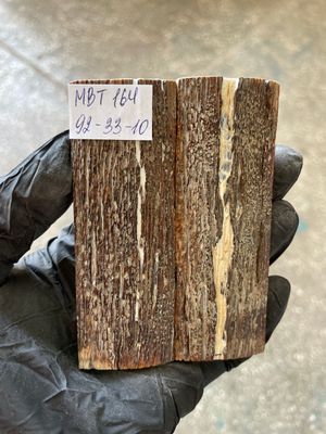 Mammoth Bark Tusk Knife Scales Fossil Pair 3.62×1.29×0.39 inch​​ MBT164