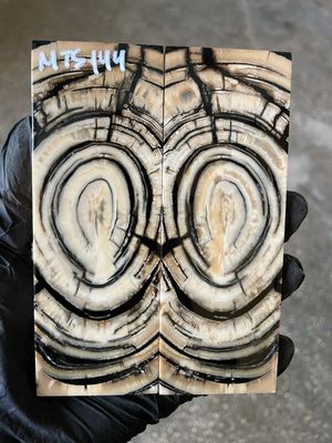 stabilized mammoth tusk knife scales pair fossil handle material MTS144