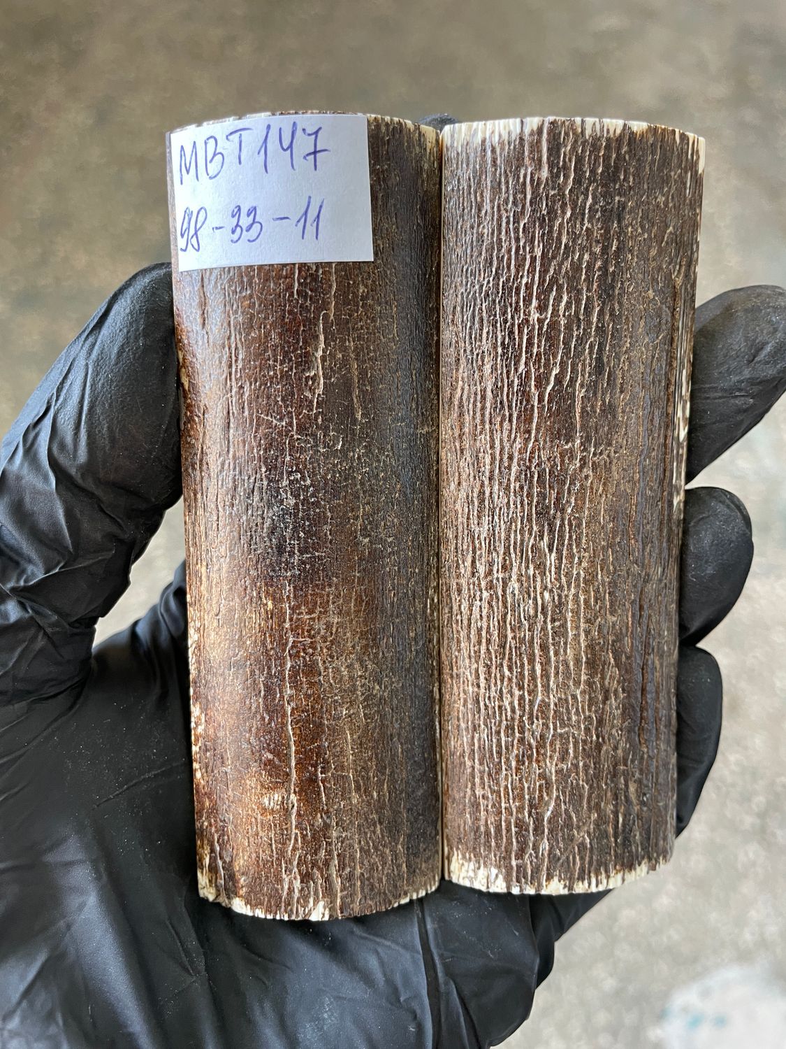 Mammoth Bark Tusk Knife Scales Fossil Pair 3.85×1.29×0.43 inch​​ MBT147