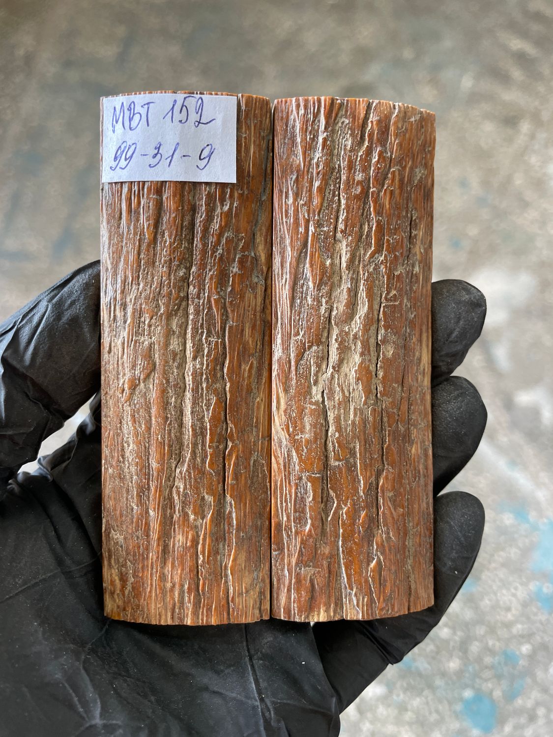 Mammoth Bark Tusk Knife Scales Fossil Pair 3.89×1.22×0.35 inch​​ MBT152