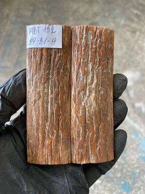 Mammoth Bark Tusk Knife Scales Fossil Pair 3.89×1.22×0.35 inch​​ MBT152