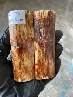 Mammoth Bark Tusk Knife Scales Fossil Pair 3.89×1.22×0.55 inch​​ MBT153