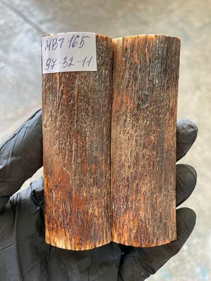 Mammoth Bark Tusk Knife Scales Fossil Pair 3.81×1.25×0.43 inch​​ MBT165