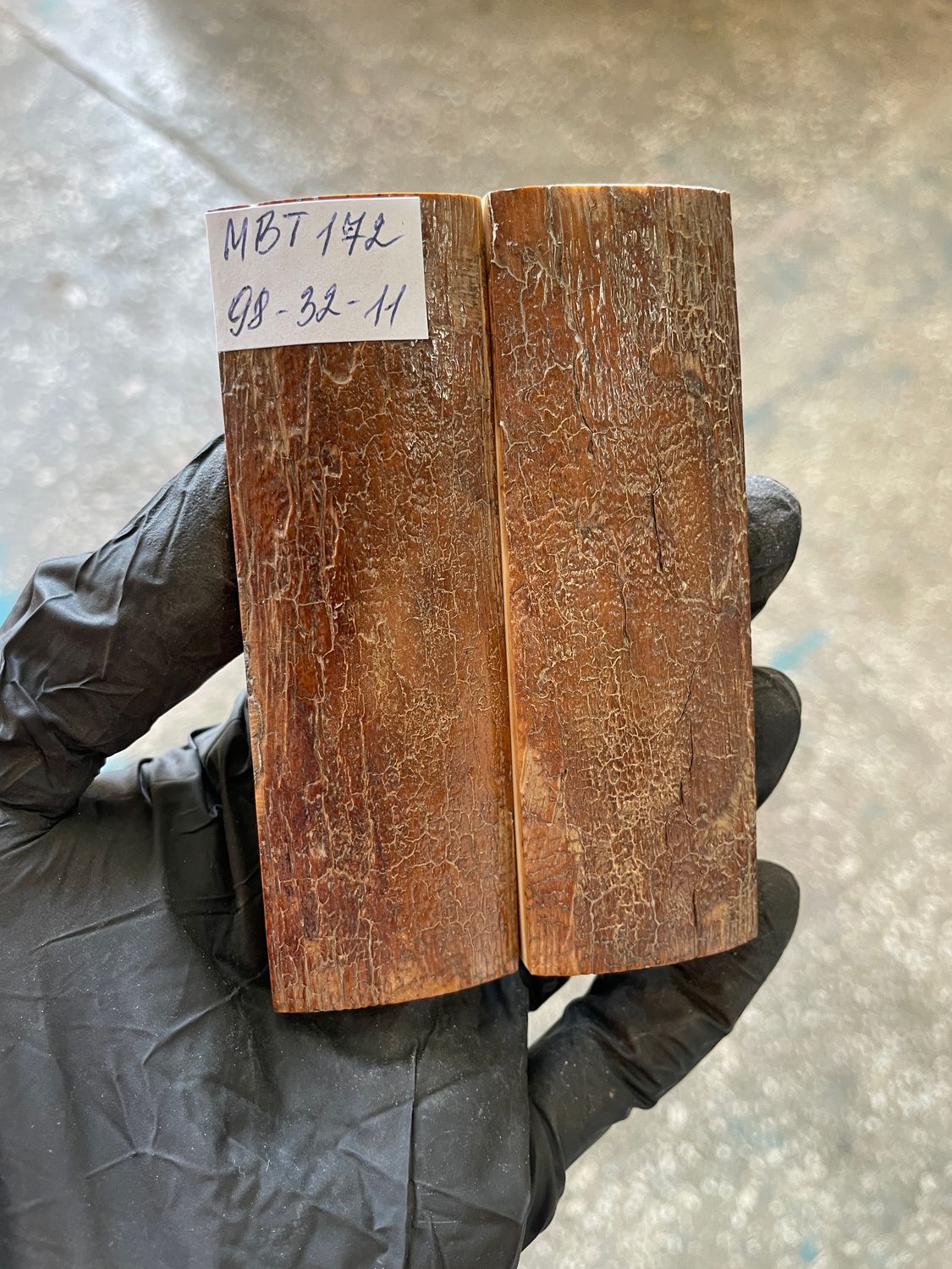 Mammoth Bark Tusk Knife Scales Fossil Pair 3.85×1.25×0.43 inch​​ MBT172