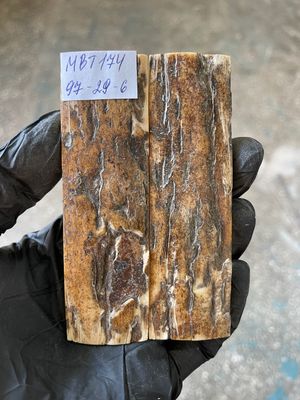 Mammoth Bark Tusk Knife Scales Fossil Pair 3.81×1.22×0.27 inch​​ MBT174