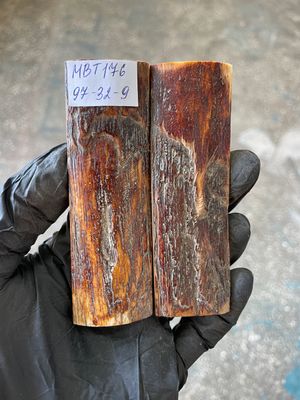 Mammoth Bark Tusk Knife Scales Fossil Pair 3.81×1.25×0.35 inch​​ MBT176