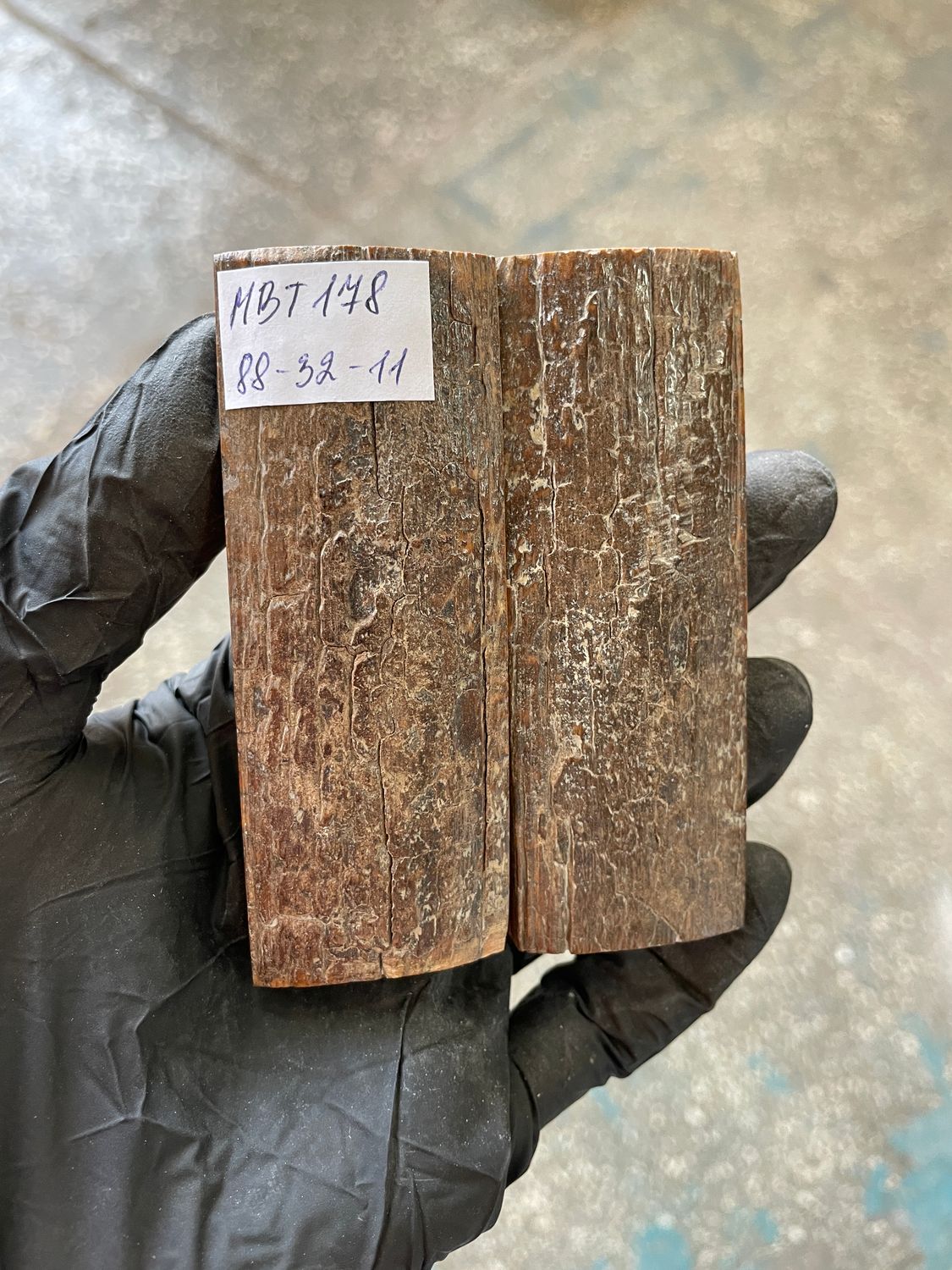 Mammoth Bark Tusk Knife Scales Fossil Pair 3.46×1.25×0.43 inch​​ MBT178