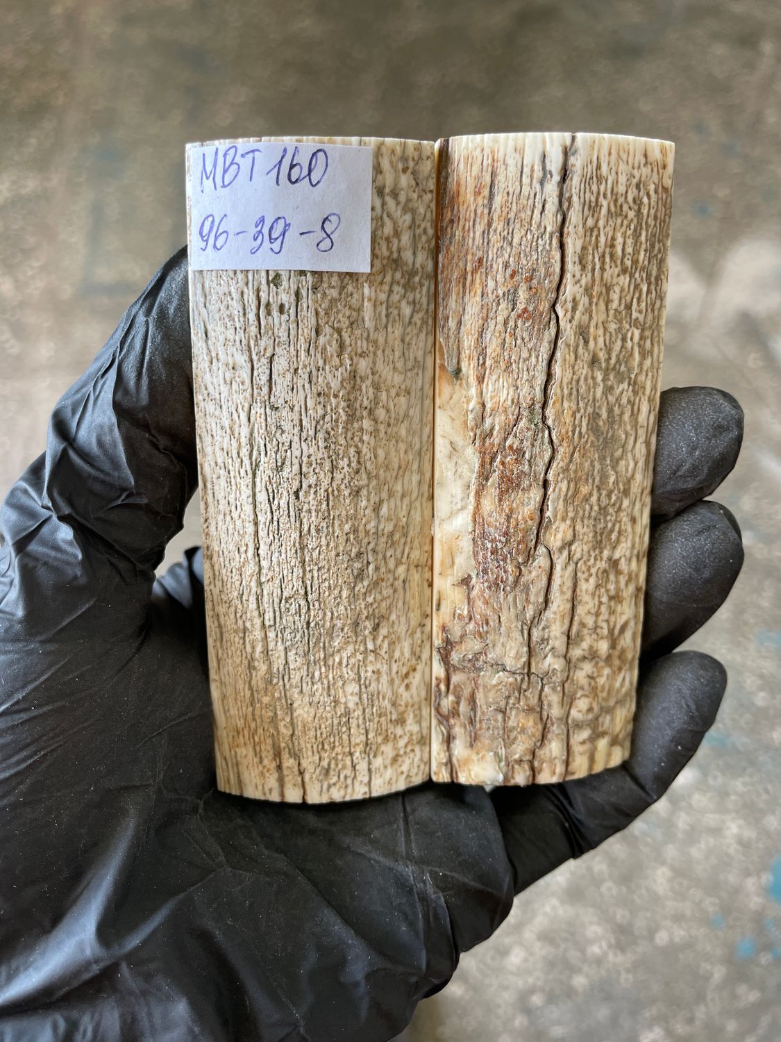 Mammoth Bark Tusk Knife Scales Fossil Pair 3.77×1.53×0.31 inch​​ MBT160