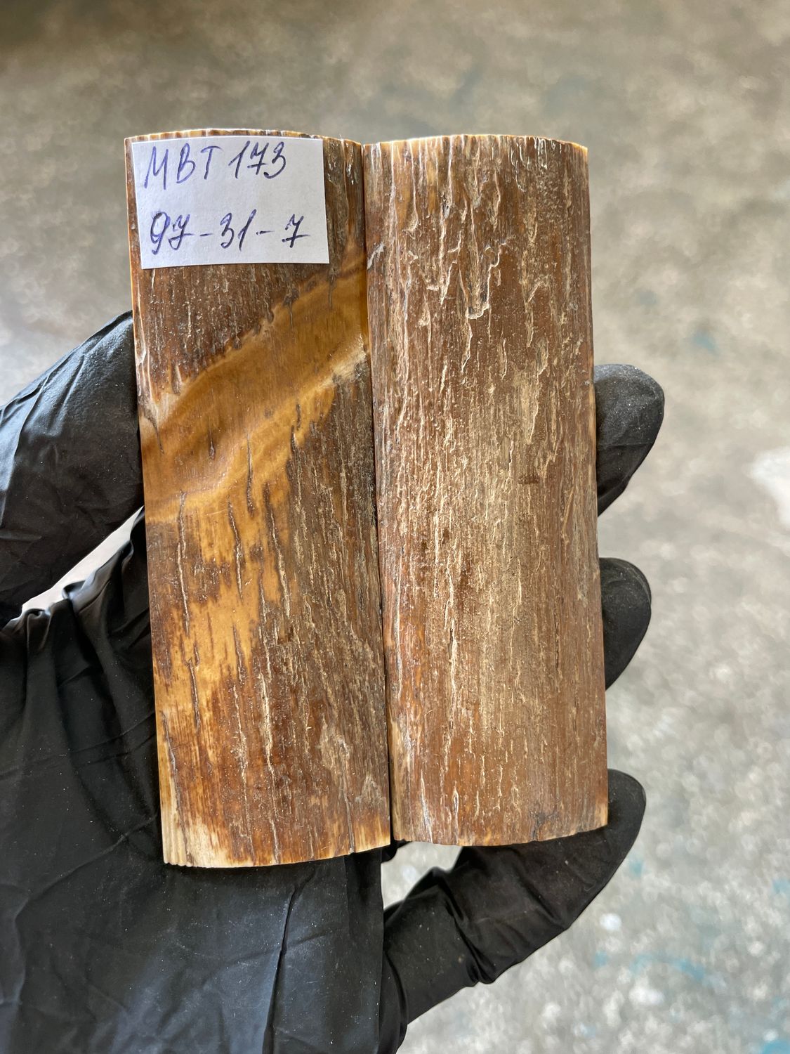 Mammoth Bark Tusk Knife Scales Fossil Pair 3.81×1.22×0.27 inch​​ MBT173