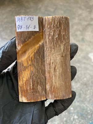 Mammoth Bark Tusk Knife Scales Fossil Pair 3.81×1.22×0.27 inch​​ MBT173