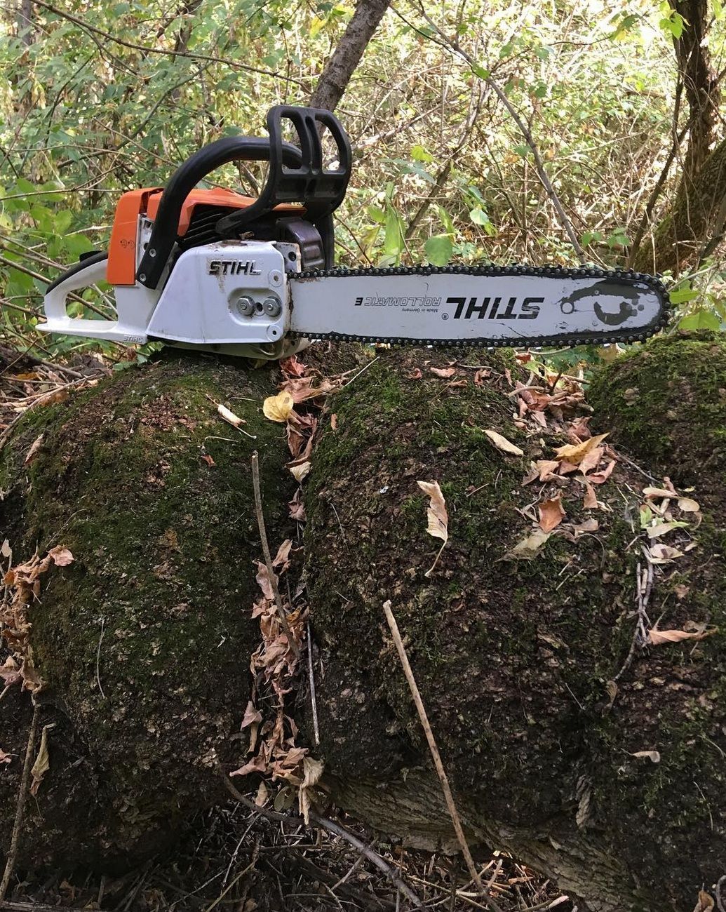 PIC FOR BLOG. NOT DELETED THIS LISTING AND NOT POSTING!!!