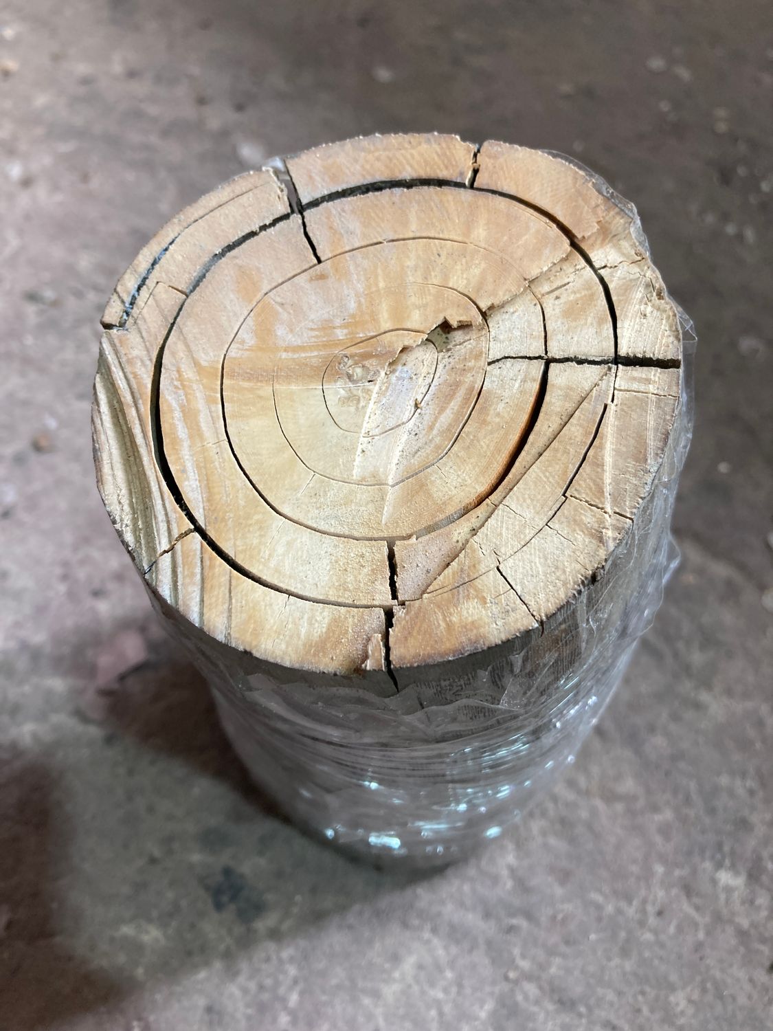 Raw unstabilized fossil mammoth ivory showing natural grain structure and age-related cracks prior to stabilization.