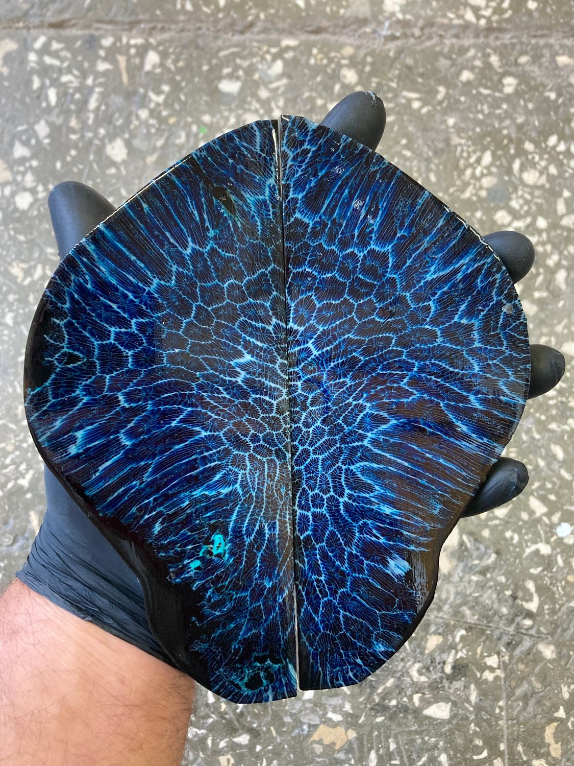 Stabilized coral handle scales with preserved natural texture and reinforced structure for knife making.