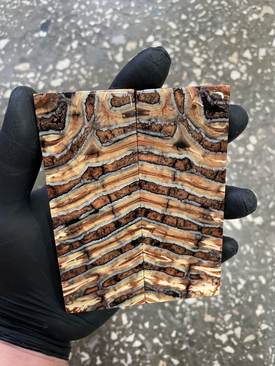 Stabilized mammoth tooth knife scales with colorful natural patterns and reinforced structure.