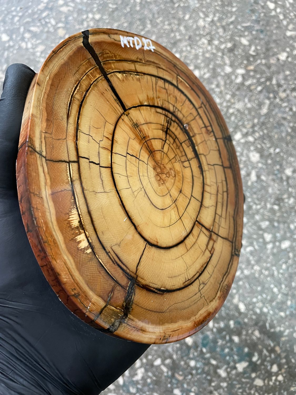 Stabilized mammoth ivory disc featuring natural Schreger patterns and reinforced structure for custom knife handles.