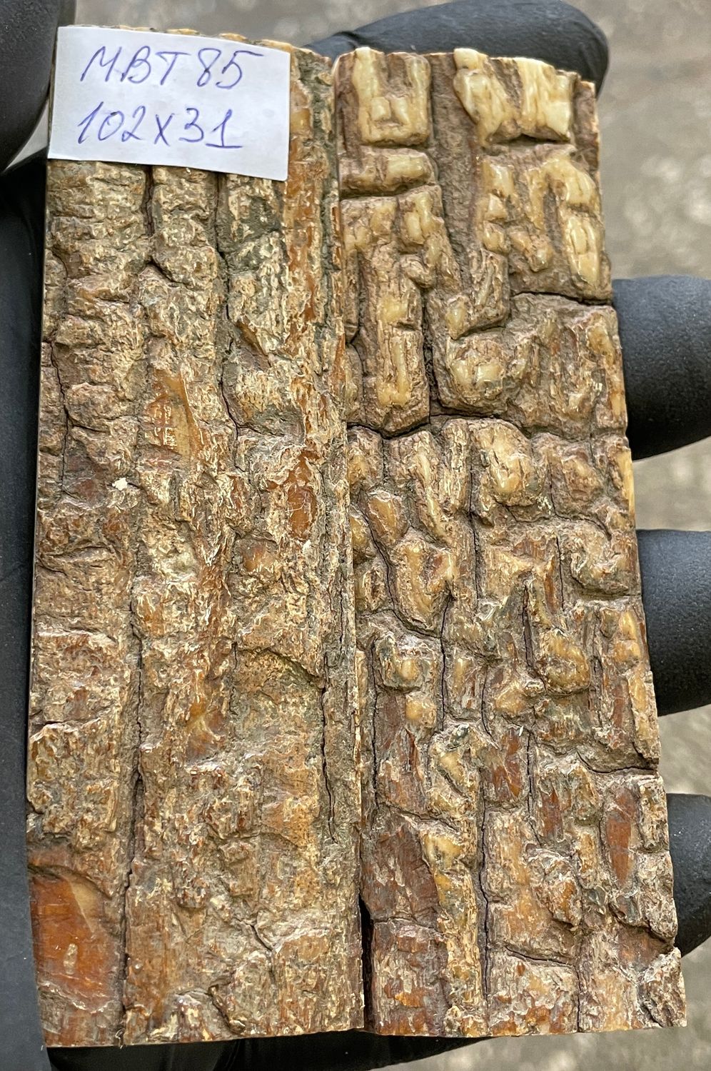 Light-colored mammoth bark ivory knife scales with a natural wood-like texture and grain pattern.