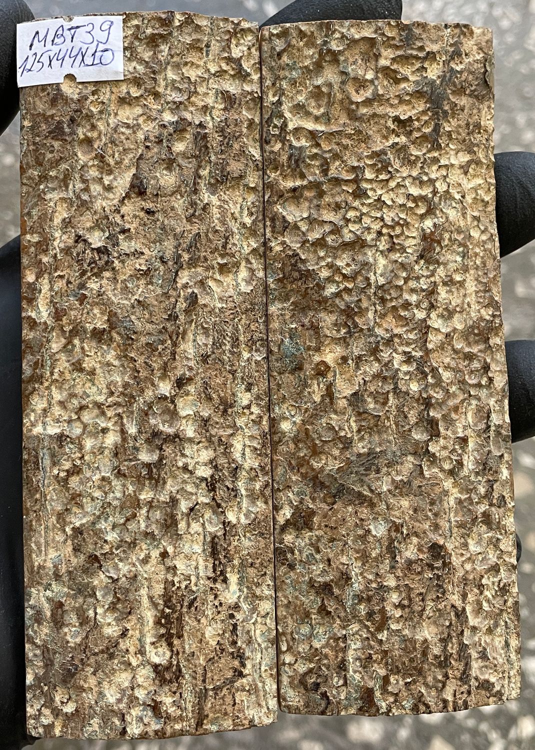 Pair of mammoth bark ivory knife scales featuring a distinctive natural crater-like texture.