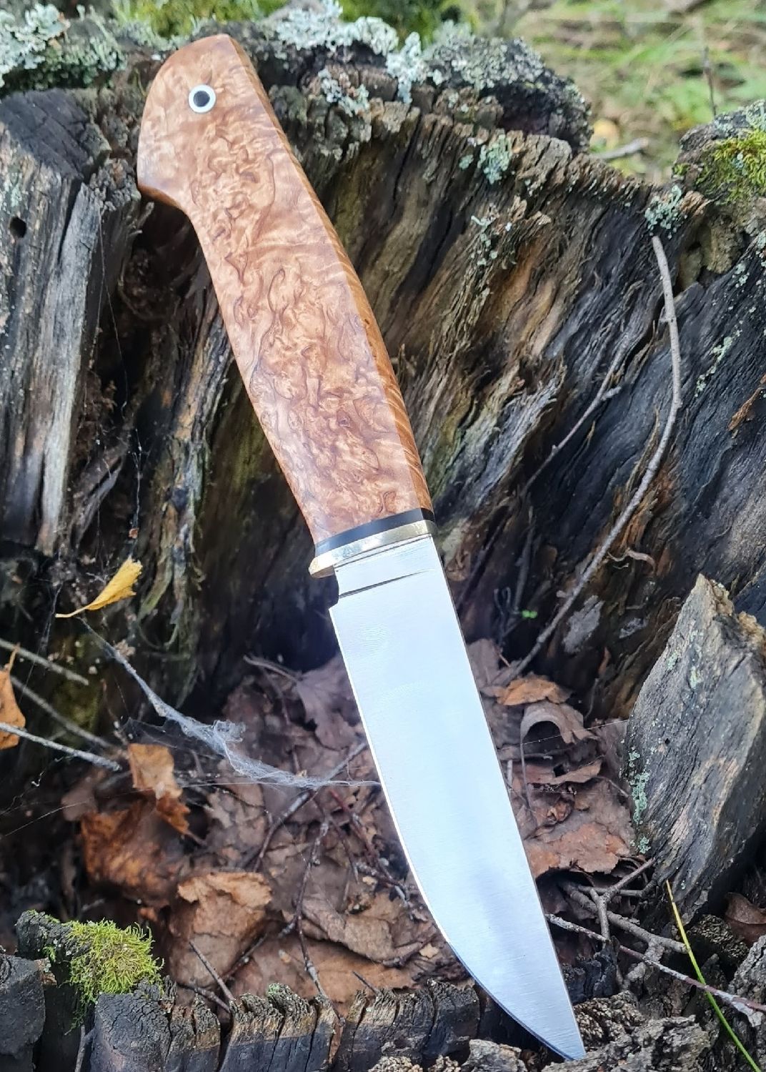 Custom knife with a Karelian birch wood handle featuring distinctive figured grain