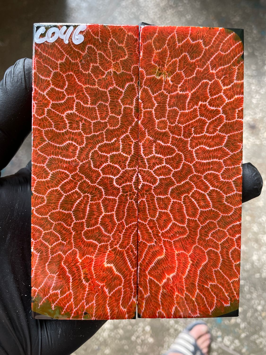 Orange stabilized fossil coral knife scales with unique natural coral pattern