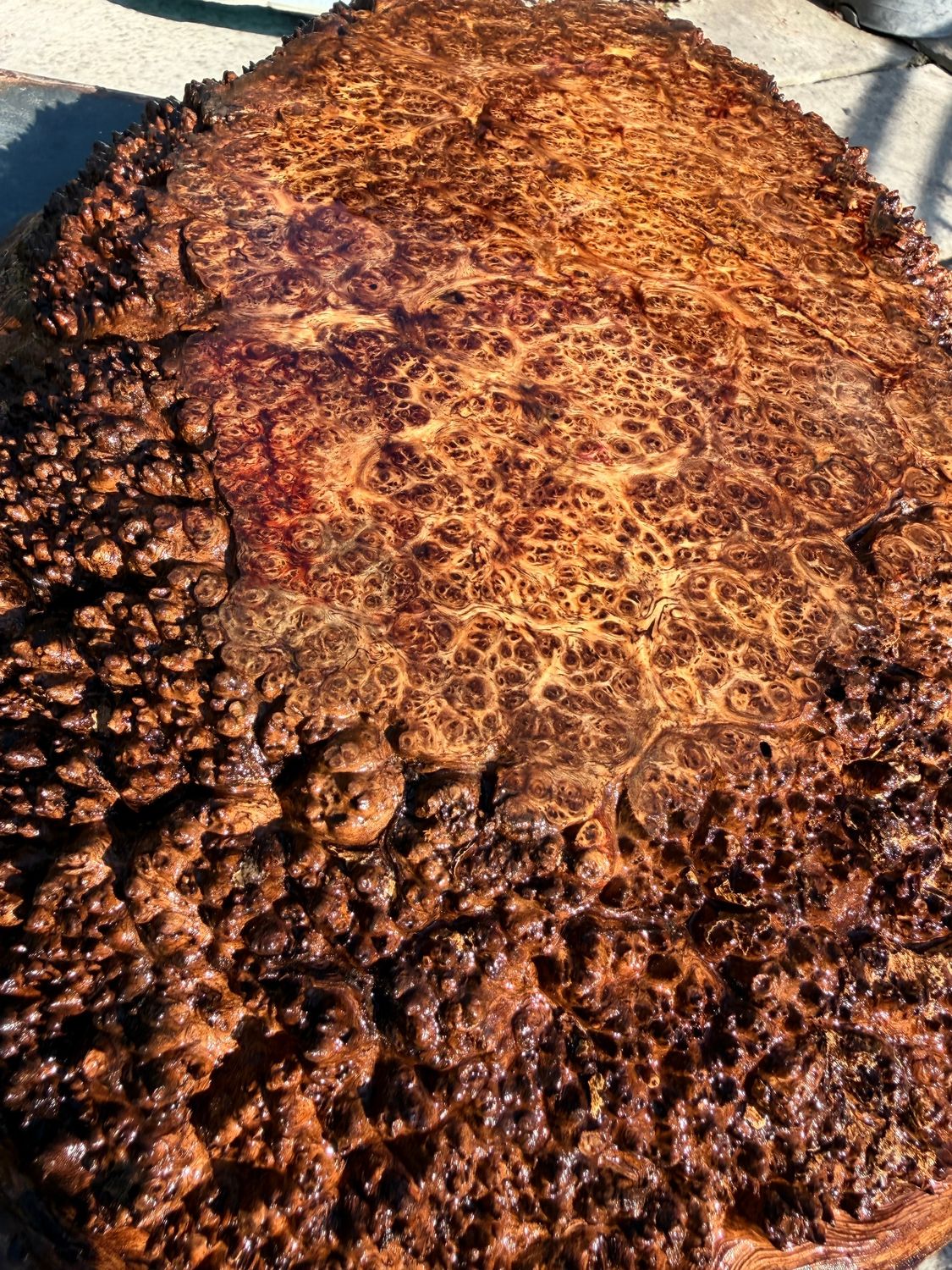 Cross-section of natural Amboyna burl showing dense burl eyes, swirling grain, and rich natural wood figure.