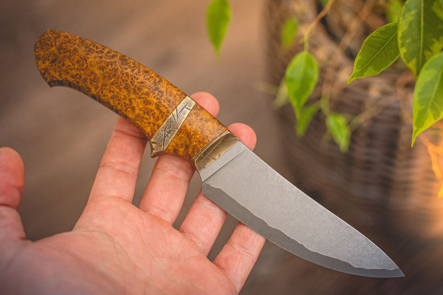 Premium knife with a polished Amboyna burl handle displaying deep three-dimensional grain and natural burl figure.
