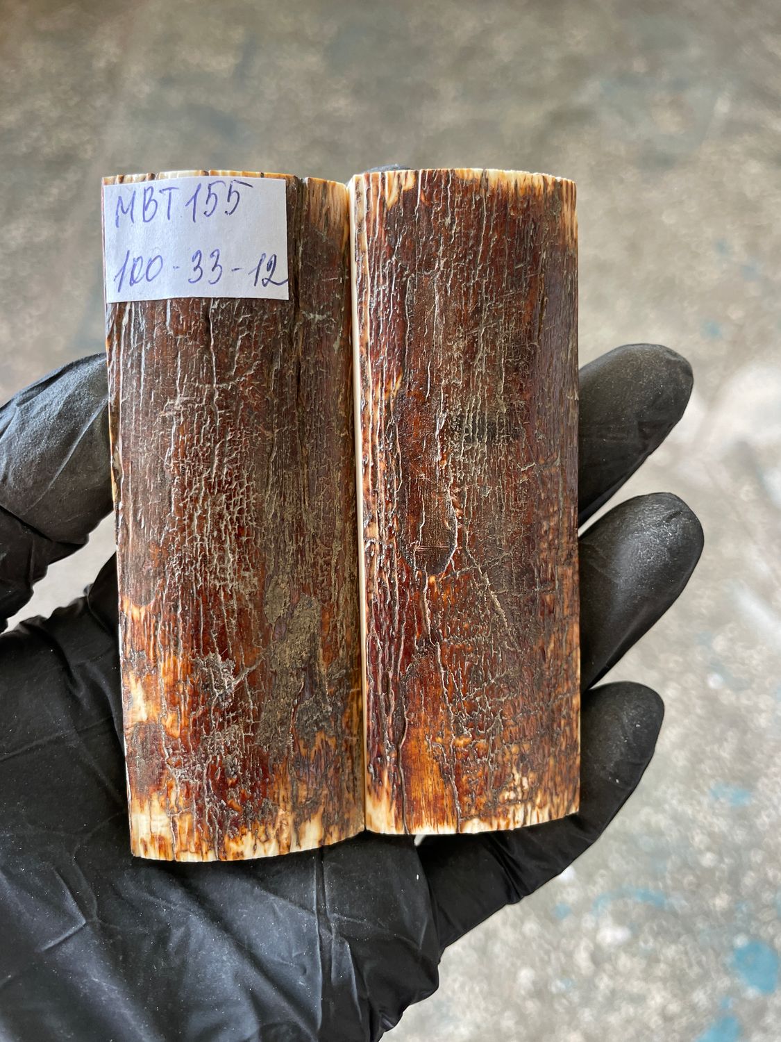 Mammoth Bark Tusk Knife Scales Fossil Pair 3.93×1.29×0.47 inch​​ MBT155