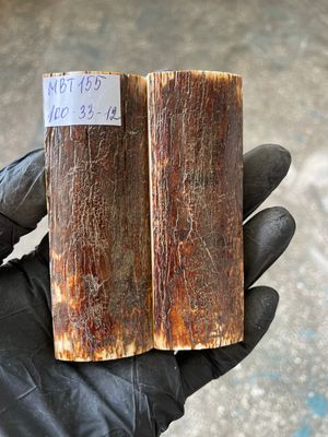 Mammoth Bark Tusk Knife Scales Fossil Pair 3.93×1.29×0.47 inch​​ MBT155