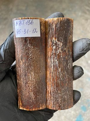 Mammoth Bark Tusk Knife Scales Fossil Pair 3.74×1.22×0.47 inch​​ MBT156