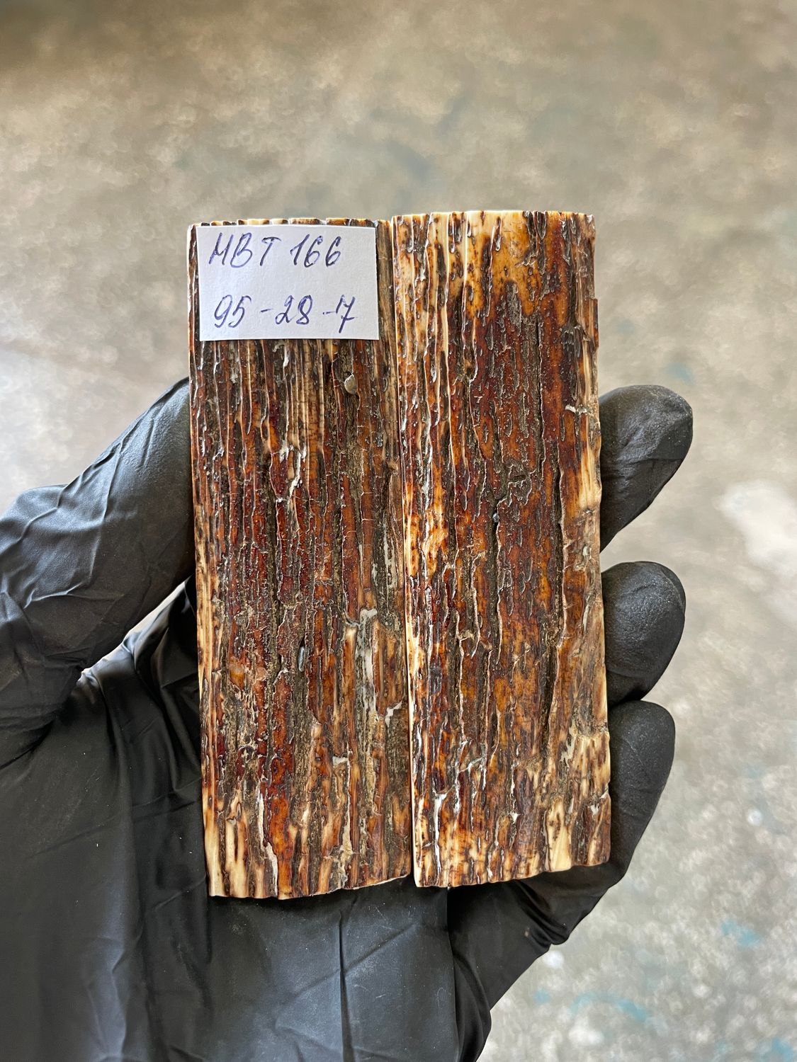 Mammoth Bark Tusk Knife Scales Fossil Pair 3.74×1.1×0.27 inch​​ MBT166