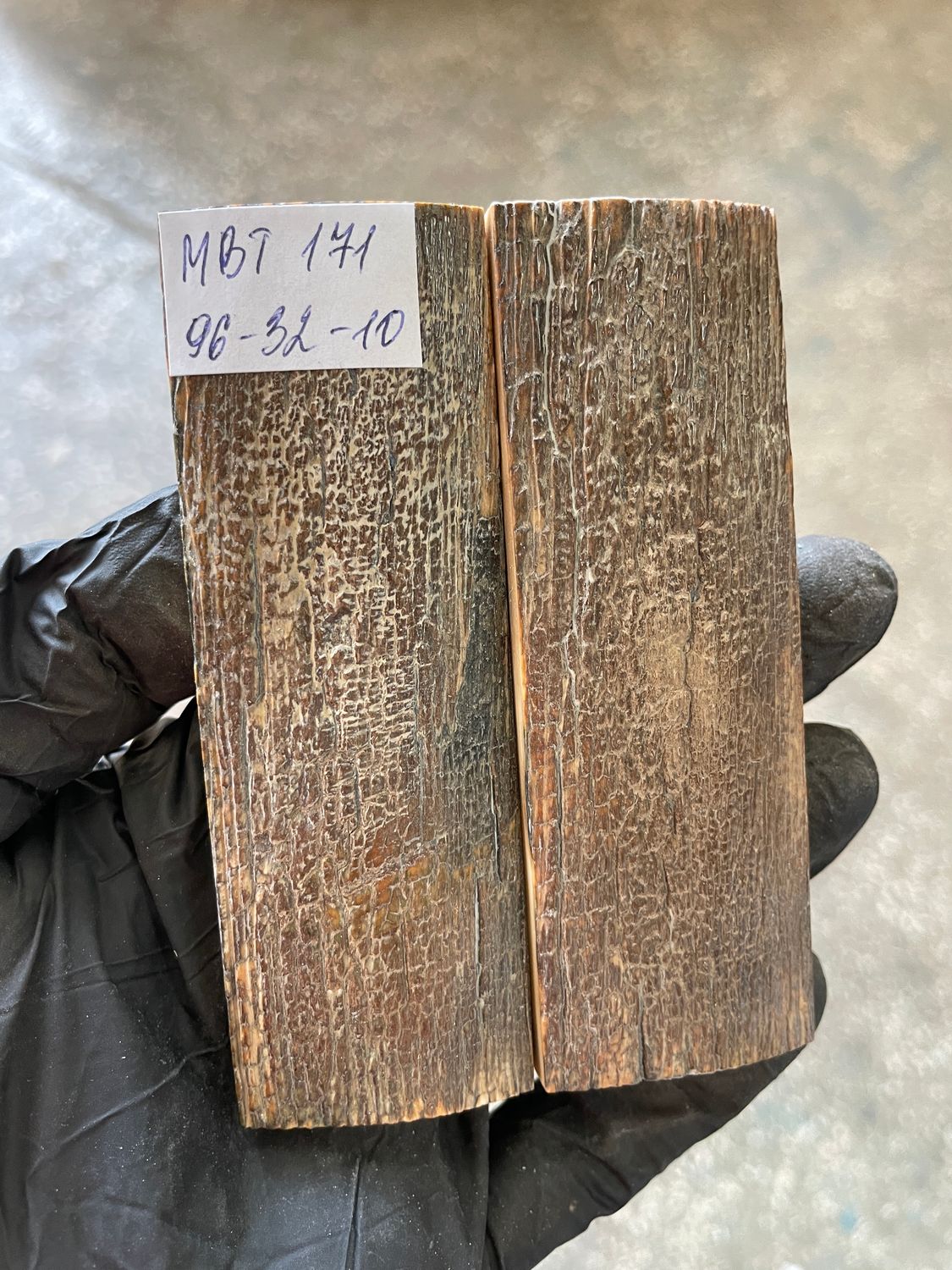 Mammoth Bark Tusk Knife Scales Fossil Pair 3.77×1.25×0.39 inch​​ MBT171